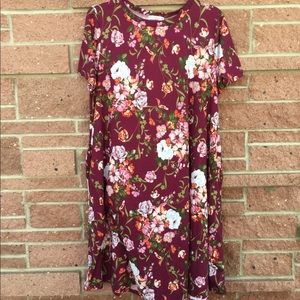 Honey and Lace Napa Dress 2X